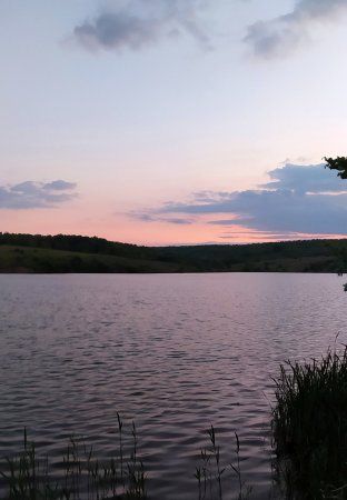 ��������������� ���������� ���������� ��� ������� ����������-��������� ����������� � ������������ ������ ��������� �������� ����������