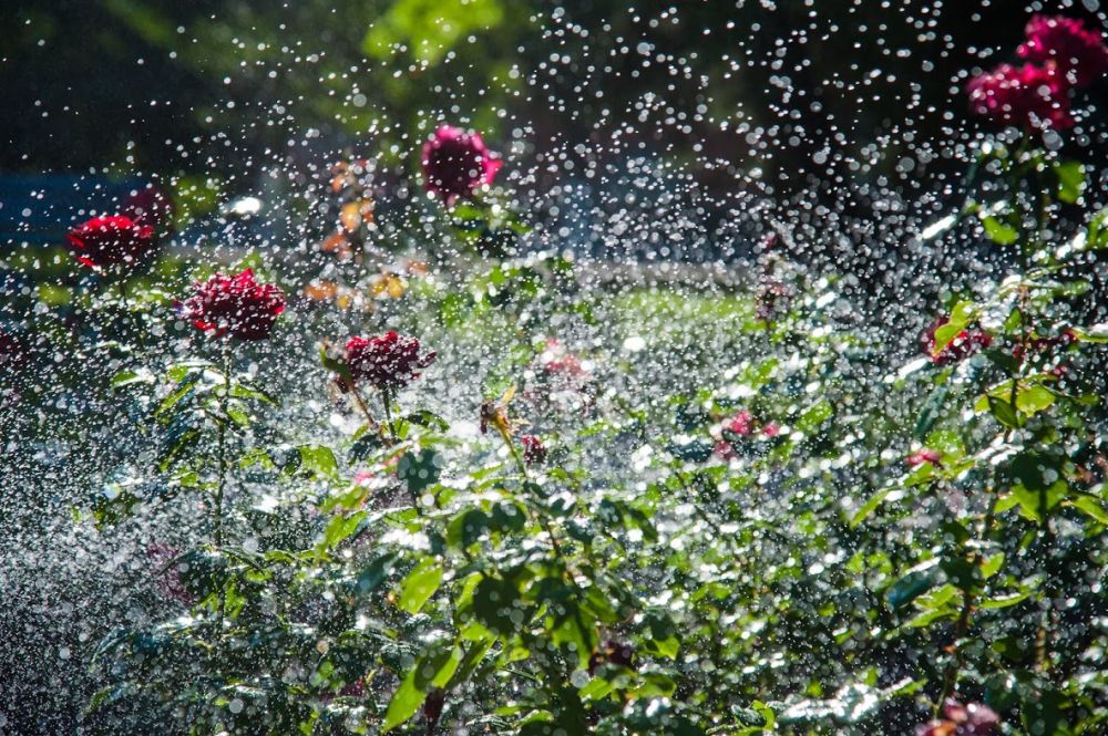 ��������������� ����� � ����� ��������� ������ � ��������