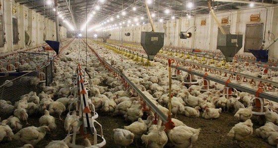 ������������ �������� ������� �������� ����� ������� ����� ���� ���� �����