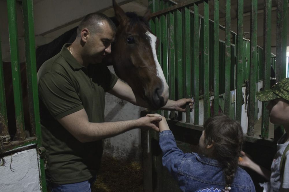 �����-���������� ���� ���������� �������� ���� ����� �� ���������