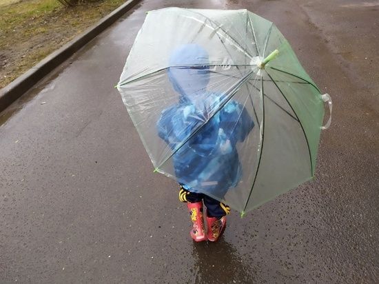 ����� 20 ����� �� �������� �������� ����������� � �������