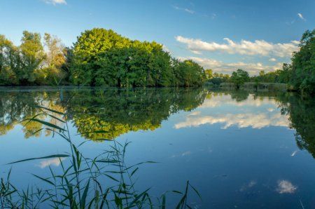 ���������� ��� ���������� ��� �������� ������ ������� � ��������� �������� ����������