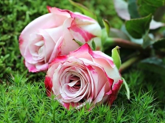 Бывший командующий полком гвардейской авиабазы в Воронеже Канамат Боташев погиб на Украине