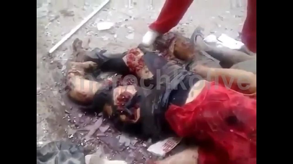 #����������. 2 ���� 2014 ��� �������� �������� ����. �� ������ ������� �� ������ ��� ��������� �����������, �� ����� ����...