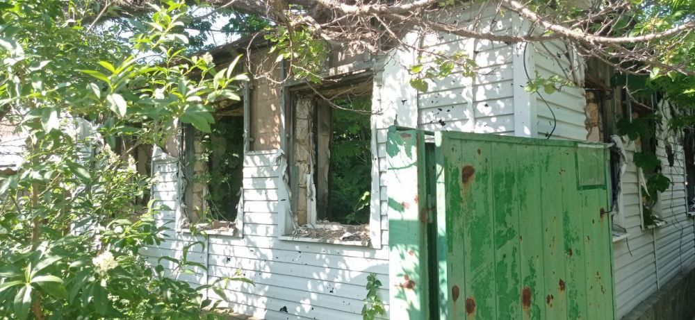 ��� ����� ���� ����� ��������� � �������-���������