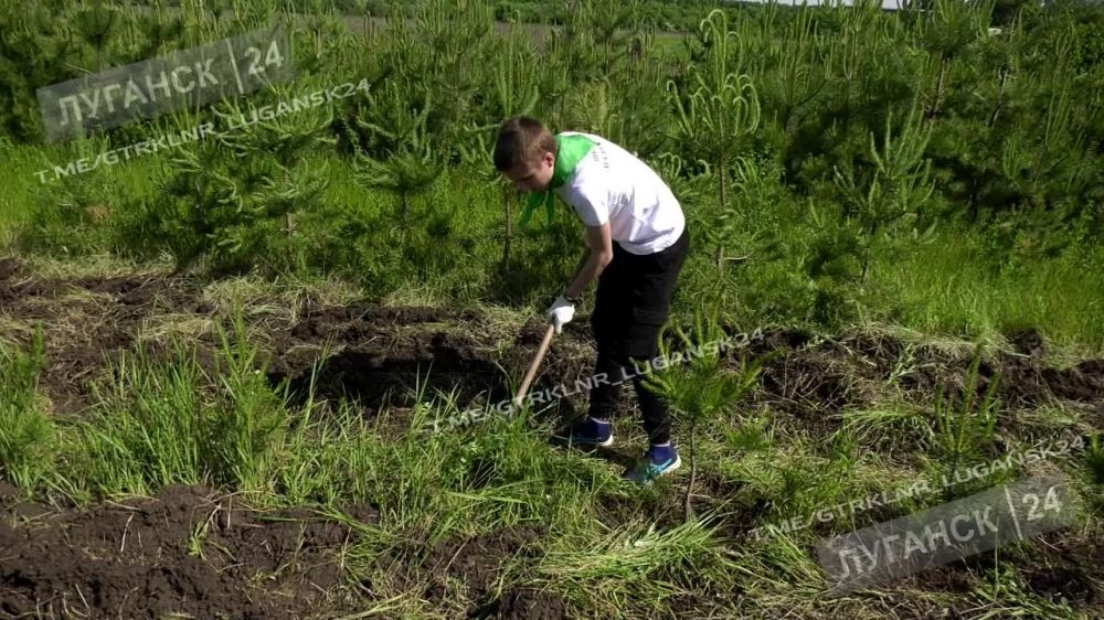 � ����������� � ���������� �������� ���� ������� � ���������������� �������� ���, ��� ���������������� �� ������ ����������...