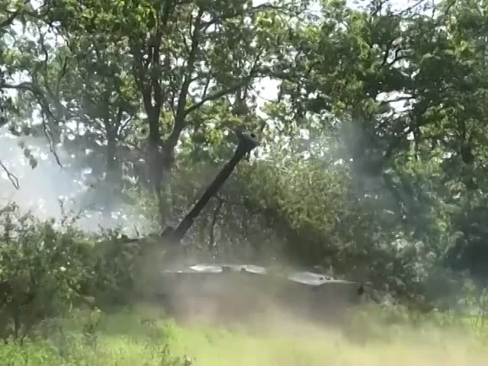 � ���������� ������������� ��������� ������ �� ��� ������� ������������ ����������� �������� �������������, � �������...