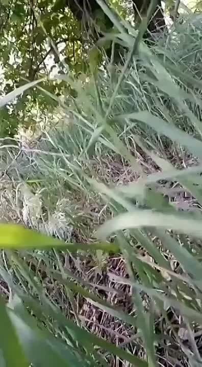 ��� ���������� ������������� ������ "������� ������", ��������� �� ����� ����������, ����� ������ � ��������� �������� ����������