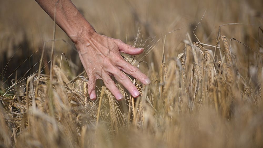 ������ ��� �������, ��� ������ ������� ����� � �� �� �������� ������