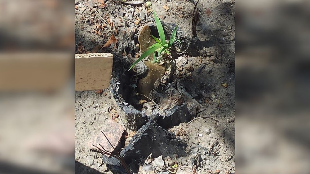 ���������� ����������� ��� � �������� ����������� ���� �� ������� ��������