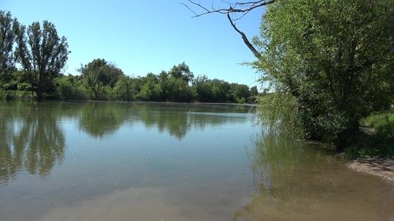 ��������� ������� � ����� � �������� � ��� ���