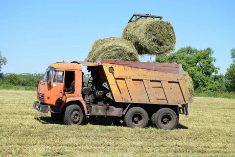 ������� ���������� ������ ��������� ������ ������ �� ����