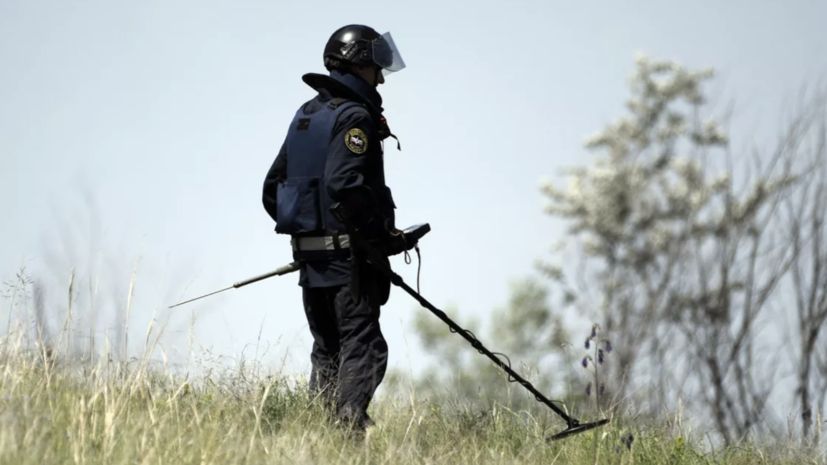 Минобороны: российские сапёры разминировали почти 3 тысячи гектаров в ДНР и ЛНР