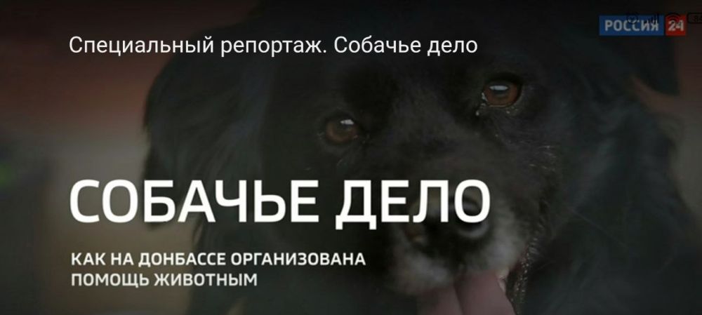 ��������� "������-24" �������� ����������� �������� "������� ����" � ������ �������� ��������