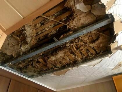 ��������� � ������ ������������ ��������������� ������������ ��������� ��� ��� � ��������