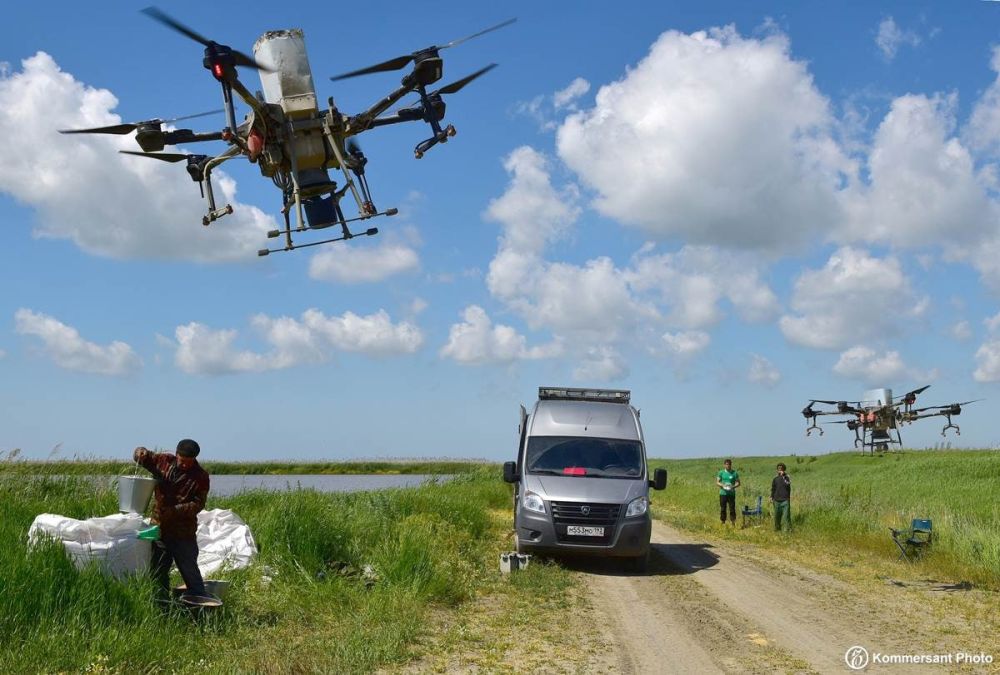 ���� �� ������������ ����������� ����������� �������� (����) � ������ �� ��������� ������ ������� ����� ��� �� 30%, � � ��������� ���������� � �����, �������� �ڻ ��������� �����