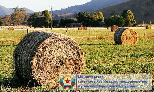 ������� ��� ���������� ����� 2,5 ���. ���� ������ ��� ��������������� � ����������