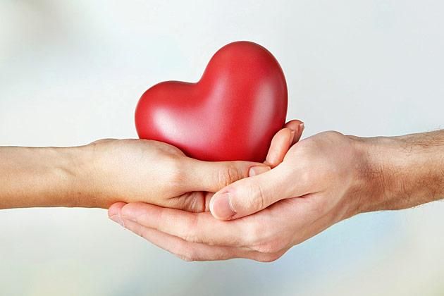 ����� 40 ������������ ������� ��������� ��� ��������� ����������� �����������