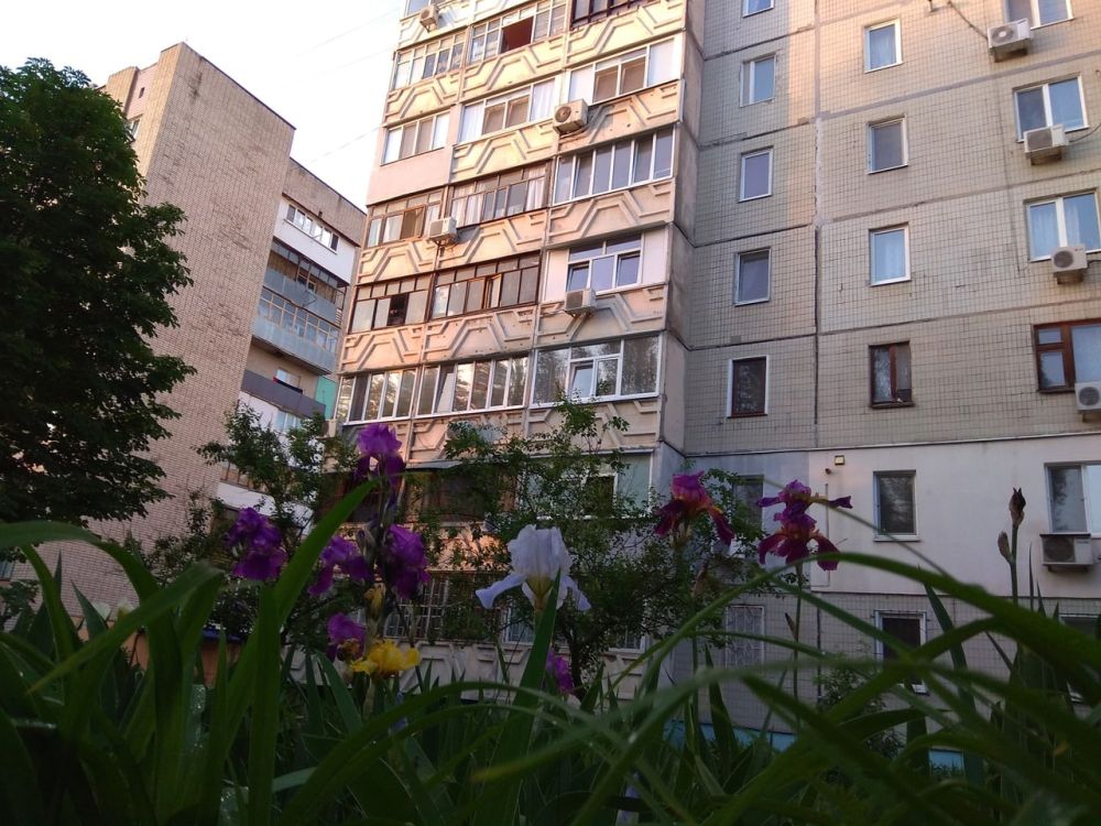 ������������� �� ������ �������� ������ ������������� ������������ �� 159 �������