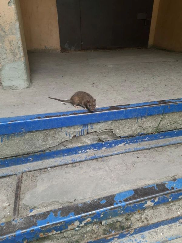 � �� ����� ������������ � �������� - ���������� ��������