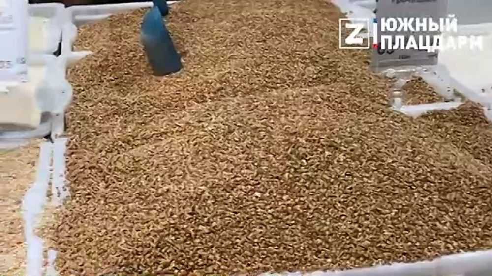 � ���������� �������� ����-������