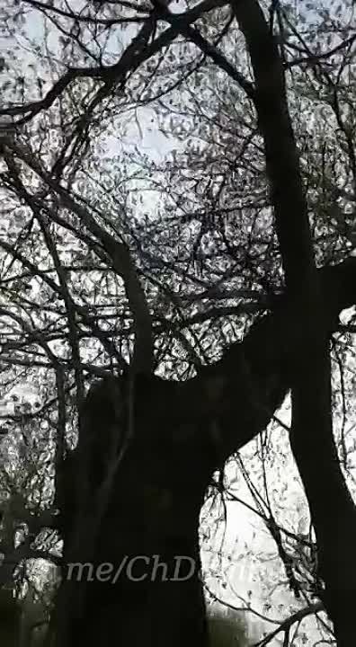 ������� ��������� ��������� ������� ��� ������ � ���� ��������� �������� ����������