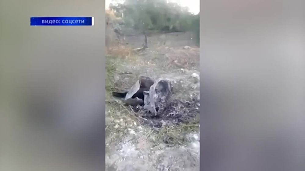 � ��� ��� ���������� ����� ������-ӻ!