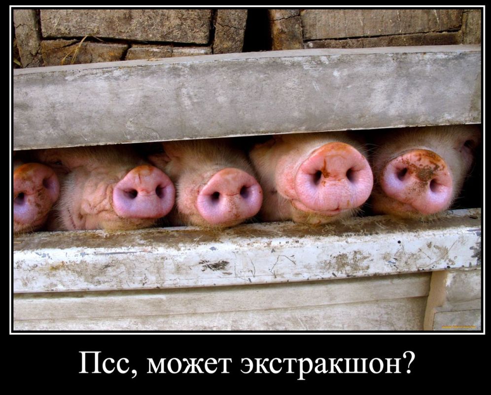 � ������������ ��������� ������ ��������� ������ ��-�� ��������� ������ ��� � ����������� ���������� ����� � ��������� �������