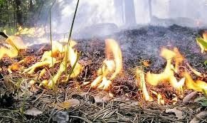 5-�� ����� �������� ��������� ���������� � ��� �� 24 ����