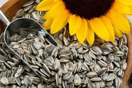 ������������ ��� ���������� ����������� ��������-���������� ������ ���������� � ���������� � �����������, � ��������...