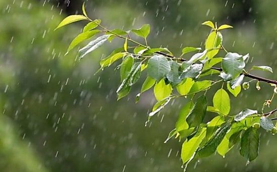 ��������� ������������ ��������������� ����� � ����� ������� ����