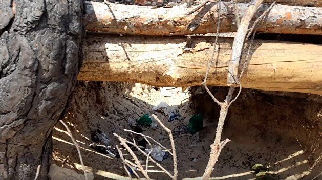 ���������� ����������� � ����� �������-������� �������������, ������� � ���