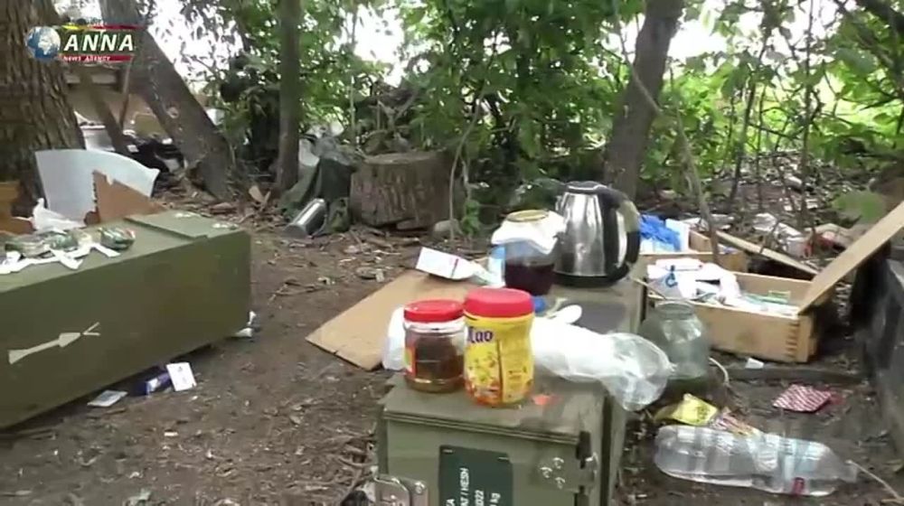 �������� ��������������� anna_news �� �����������