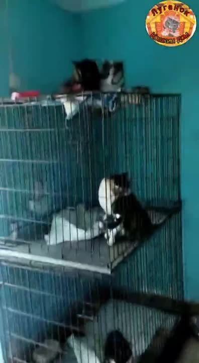 ������� ������!. ����� ������� ���������� ��� � ������ ������ ��� �������!