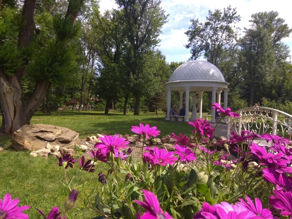 ��������� ������������ ������ � �������� �� 29 �������� �����