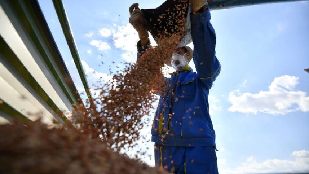 � ��� ���������� � ����� ������