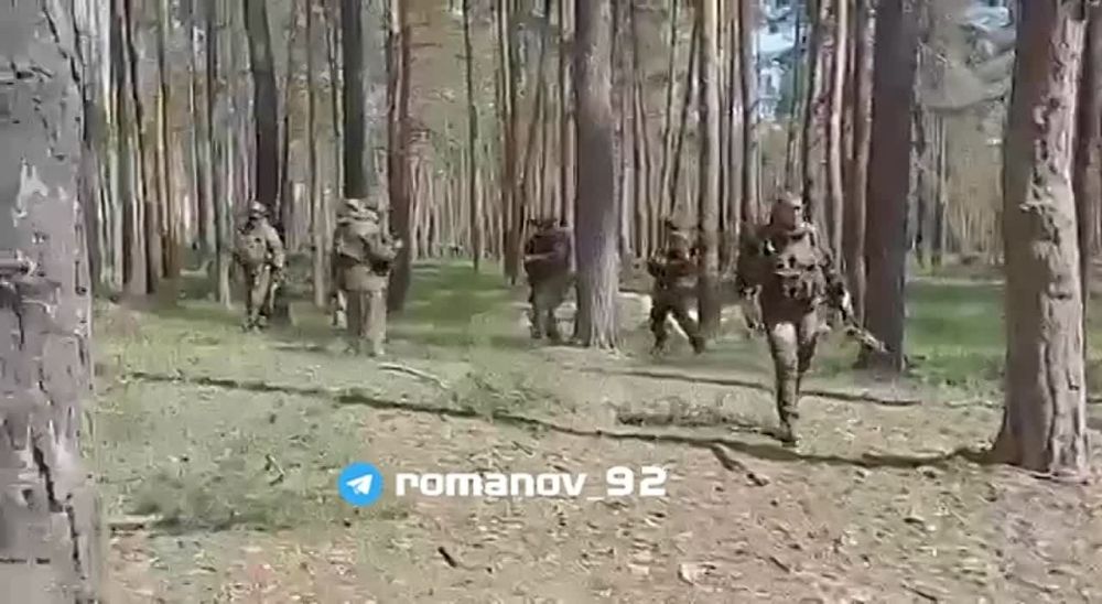 #��������� ������ Romanov ����