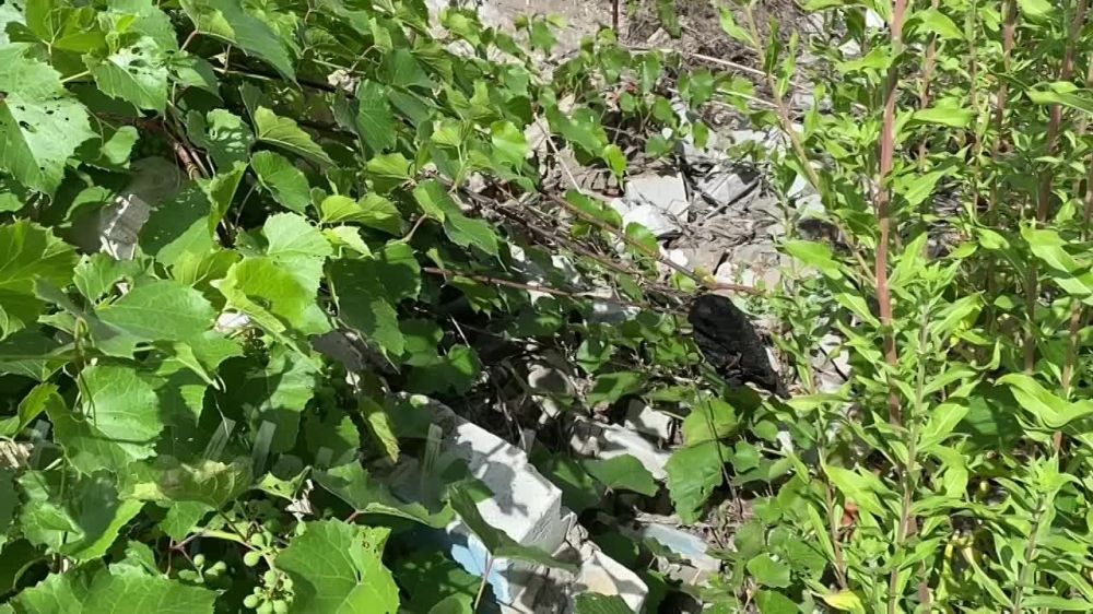 ������� ��������, ������ ���� ��� ��Ѕ 02.07.2014 ���������� �������, �� ������� ������� ����� ������� ����������