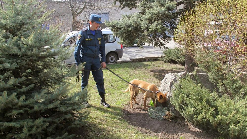 � ��� �������� � �������� �����������, ���������� � ����� � ���� ��������