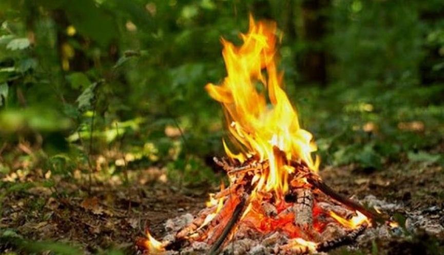 ������������ ������� ��������������� ��������� � ���������� �� 10 ����