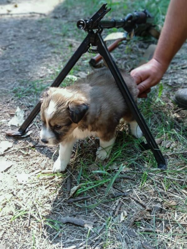 ������� ��������� ����������