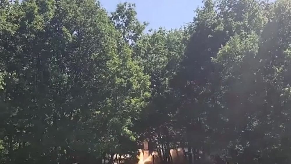 ����� ��: ���������� ����� ������������ ������ �� ���� �������������