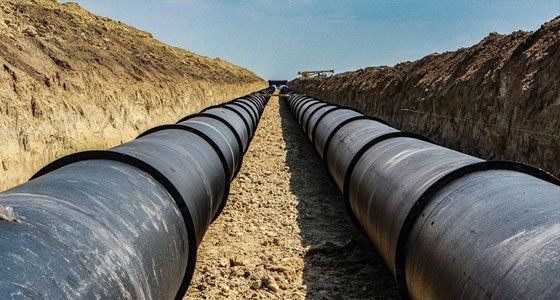 ����������� "�����������" �������� ������������� ������������� ���������