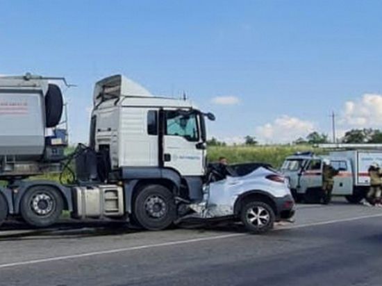 � ����������� ������� � ��� ������� ������� ���� � ���������� ���: ������ ��������� ����