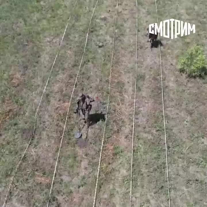 ��������, ���������� ������� � ������ ���������� ���������� ���