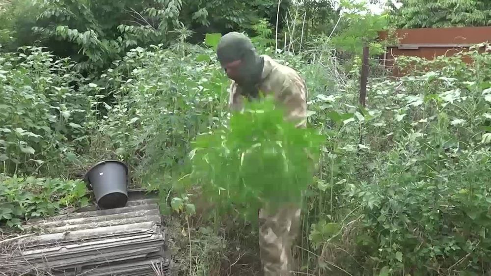 ����������������� ���, � ���� ��������������, � ������� ������� ���������� �������� � ������ ����������� ��������