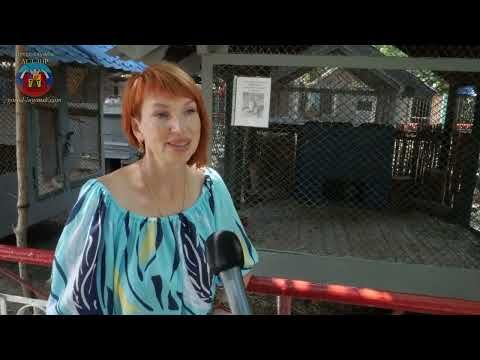 ��������� � ��������� ����� ����� 1 ��� ���������� ����� ����������. �� ���� �������� �����-������ ������������� ��������