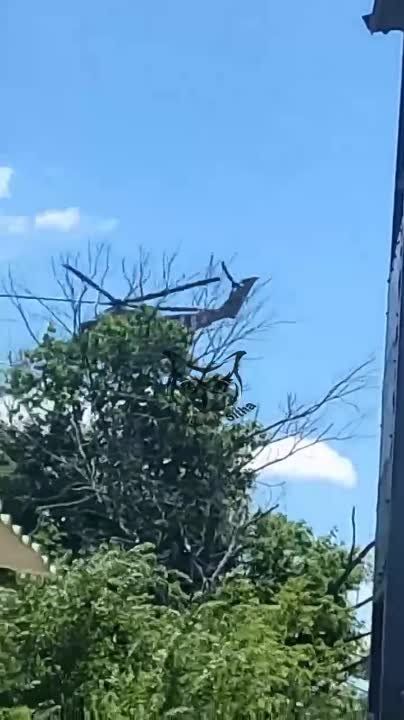 ���������� ��-24 ��� ���������