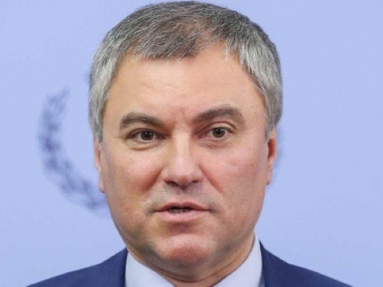 Володин заявил, что войска России вынуждают перейти границы ДНР-ЛНР