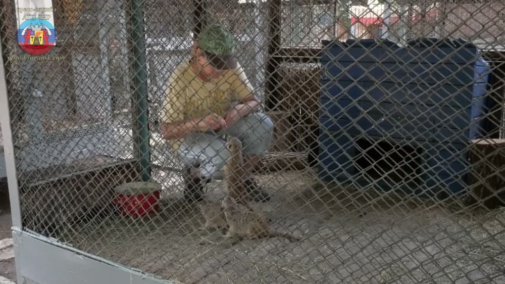 ��������� ��������� ���������� ������ ����������� � ����������